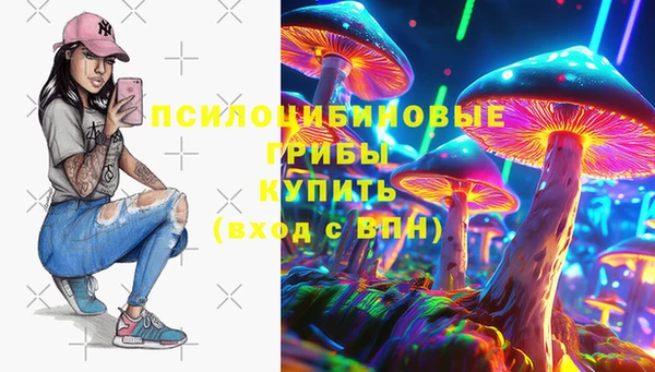 ГАЛЛЮЦИНОГЕННЫЕ ГРИБЫ Михайловка