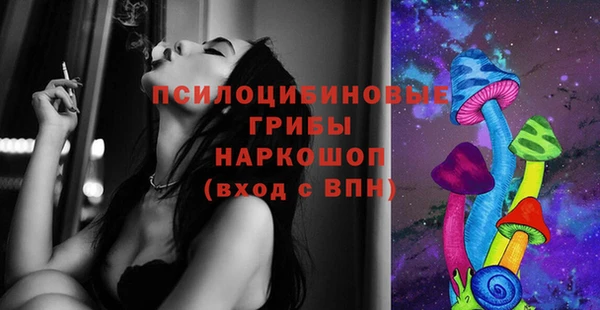 ГАЛЛЮЦИНОГЕННЫЕ ГРИБЫ Михайловка